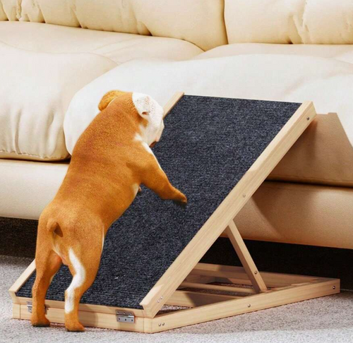 BarkHouse Dog Ramp